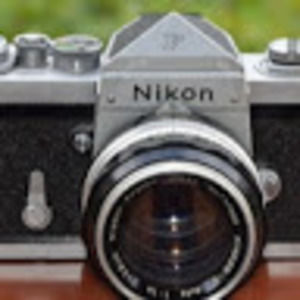 Meet your Posher, Maci